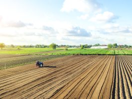 10 największych gospodarstw rolnych w Polsce