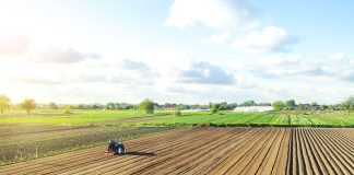 10 największych gospodarstw rolnych w Polsce