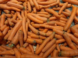 Ile kosztuje marchew i pietruszka – ceny hurt/detal pod koniec października
