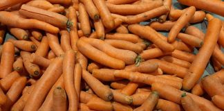 Ile kosztuje marchew i pietruszka – ceny hurt/detal pod koniec października