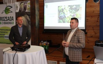 Rozsada kapusty na najwcześniejsze zbiory. Która najlepsza?