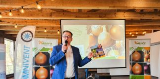 Cebule na sezon 2024. Cz. I Sytuacja na rynku i odmiany