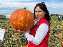 Dynie ładne, smaczne i wygodne w przygotowaniu