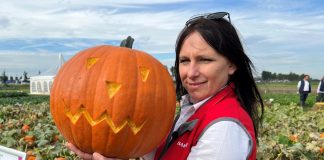 Dynie ładne, smaczne i wygodne w przygotowaniu