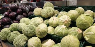 Rynek kapust – ceny w styczniu (biała, czerwona, włoska i pekińska) kapusta biala cena | warzywapolowe