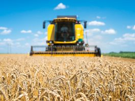 Emerytury stażowe dla rolników