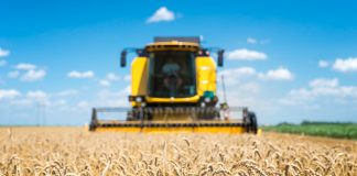 Emerytury stażowe dla rolników