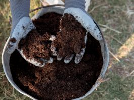 Aktualne ceny nawozów.