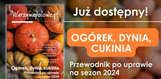 Ogórek, dynia, cukinia. Nowy przewodnik po uprawie na sezon 2024! odmiana dyni podobna do ogórka | warzywapolowe