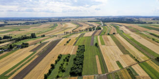 Nie będzie obowiązku ugorowania gruntów, ale … ugorowania gruntów
