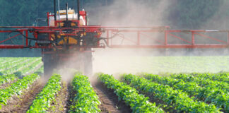 Jakie środki do ochrony roślin stosować zimą?