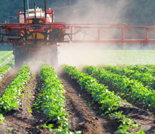 Jakie środki do ochrony roślin stosować zimą?