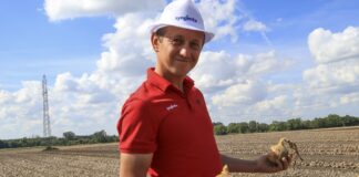 Jakie cebule sprzedały się najlepiej w 2024 roku?