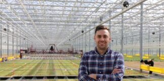 Rozsada na miarę oczekiwań