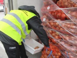 Co kontroluje PIORIN na granicy polsko-ukraińskiej Co kontroluje PIORIN na granicy polsko-ukraińskiej