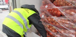 Co kontroluje PIORIN na granicy polsko-ukraińskiej Co kontroluje PIORIN na granicy polsko-ukraińskiej