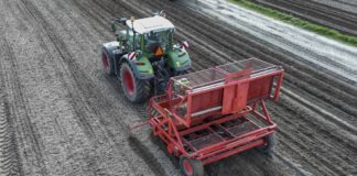 Dlaczego warto stosować kwasy humusowe w uprawie ziemniaka?