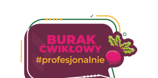 BURAK ĆWIKŁOWY #profesjonalnie BURAK ĆWIKŁOWY #profesjonalnie