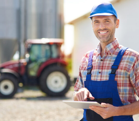 Dopłaty do wapna 2024 – jak uzyskać dofinansowanie, od kiedy wypłaty Dopłaty do wapna 2024 - jak uzyskać dofinansowanie, od kiedy wypłaty