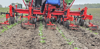 Mechaniczne uprawki po posadzeniu rozsady