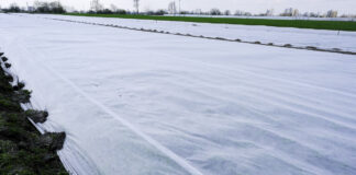 Przymrozki w maju. IMGW podał datę!