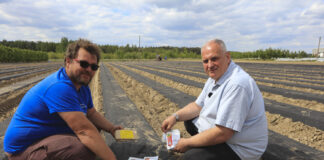 100 ton ogórków z hektara, edycja 2024. Wybrane odmiany.