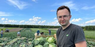 Kapusta słabo wyceniana przez rynek, kalafior pod znakiem zapytania