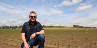 Rola dobrego nawożenia w uprawie buraka ćwikłowego (Burak Ćwikłowy #profesjonalnie, cz. 2) Rola dobrego nawożenia w uprawie buraka ćwikłowego (Burak Ćwikłowy #profesjonalnie, cz. 2)