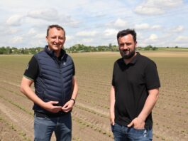 Odmiany buraczka ćwikłowego w projekcie („Burak Ćwikłowy #profesjonalnie”, cz. 3) Odmiany buraczka ćwikłowego w projekcie ("Burak Ćwikłowy #profesjonalnie", cz. 3)