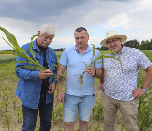 Kukurydza w technologii Strip – till. Ten produkt zrobił szokujący efekt! Kukurydza w technologii Strip – till. Ten produkt zrobił szokujący efekt!