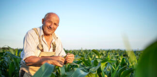 Renta socjalna a rolnictwo – komu przysługuje Renta socjalna a rolnictwo - komu przysługuje