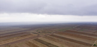Ile kosztuje hektar ziemi rolnej? Ile kosztuje hektar ziemi rolnej