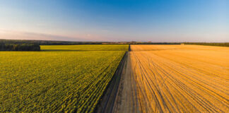 Dron w rolnictwie – zastosowanie. Jak wykorzystać dron w rolnictwie? dron rolniczy