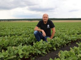 Nowe możliwości ochrony buraka ćwikłowego Nowe możliwości ochrony buraka ćwikłowego