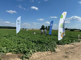 Plantacja ogórków w bardzo dobrej kondycji. Jak to się udało? Cz.II – bio rozwiązania Plantacja ogórków w bardzo dobrej kondycji. Jak to się udało? Cz.II – bio rozwiązania