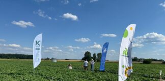 Plantacja ogórków w bardzo dobrej kondycji. Jak to się udało? Cz. I – Odmiany ogórków i nawożenie Plantacja ogórków w bardzo dobrej kondycji. Jak to się udało?  Cz.II – bio rozwiązania