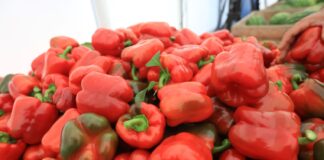 Wyższe ceny papryki 2024. Mogą jeszcze wzrosnąć