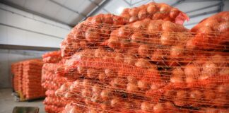 Rynek cebuli w centralnej Azji i na wschodzie Europy