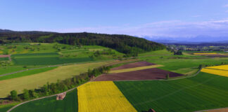 Ekoschematy 2024 – od ilu hektarów, punkty, stawki Ekoschematy 2024 - od ilu hektarów, punkty, stawki