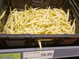 Ile kosztuje bób i fasolka szparagowa – ceny hurt/detal. 18 lipca. Ile kosztuje bób i fasolka szparagowa – ceny hurt/detal. 18 lipca.