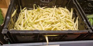 Ile kosztuje bób i fasolka szparagowa – ceny hurt/detal. 18 lipca. Ile kosztuje bób i fasolka szparagowa – ceny hurt/detal. 18 lipca.