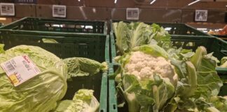 Ile kosztuje krajowy kalafior – ceny hurtowe i w marketach detalicznych z dnia 12.07.2024 r. Ile kosztuje krajowy kalafior - ceny hurtowe i w marketach detalicznych z dnia 12.07.2024 r.