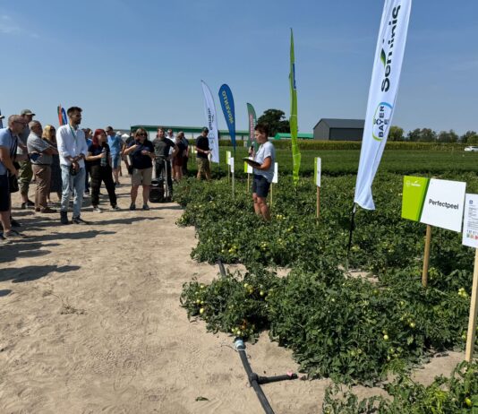 Warzywnicze doświadczenia w Bedlnie i nowości uprawowe Warzywnicze doświadczenia w Bedlnie i nowości uprawowe