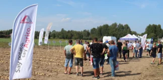 Odmiany Agrico Polska na Dniach Ziemniaka