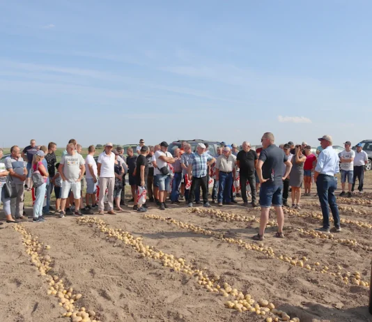 Nawożenie, ochrona i biostymulacja ziemniaków na spotkaniu Agrico Polska