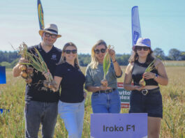 Cebule 10+ i wysokie plony 2024