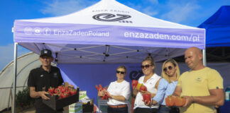 Paprykowe standardy i nowości u Przemka Szatana