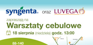 Warsztaty cebulowe Więcławice