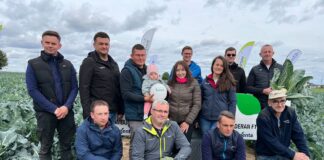 Odmiany brokułów i kalafiorów na lubelskiej plantacji