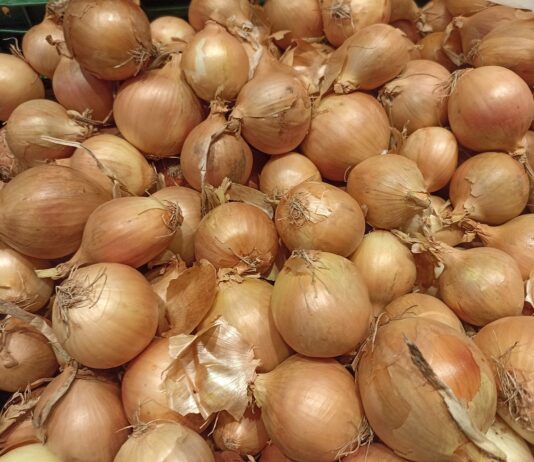 Aktualne ceny cebuli w hurcie i detalu (23 września 2024) ceny cebuli